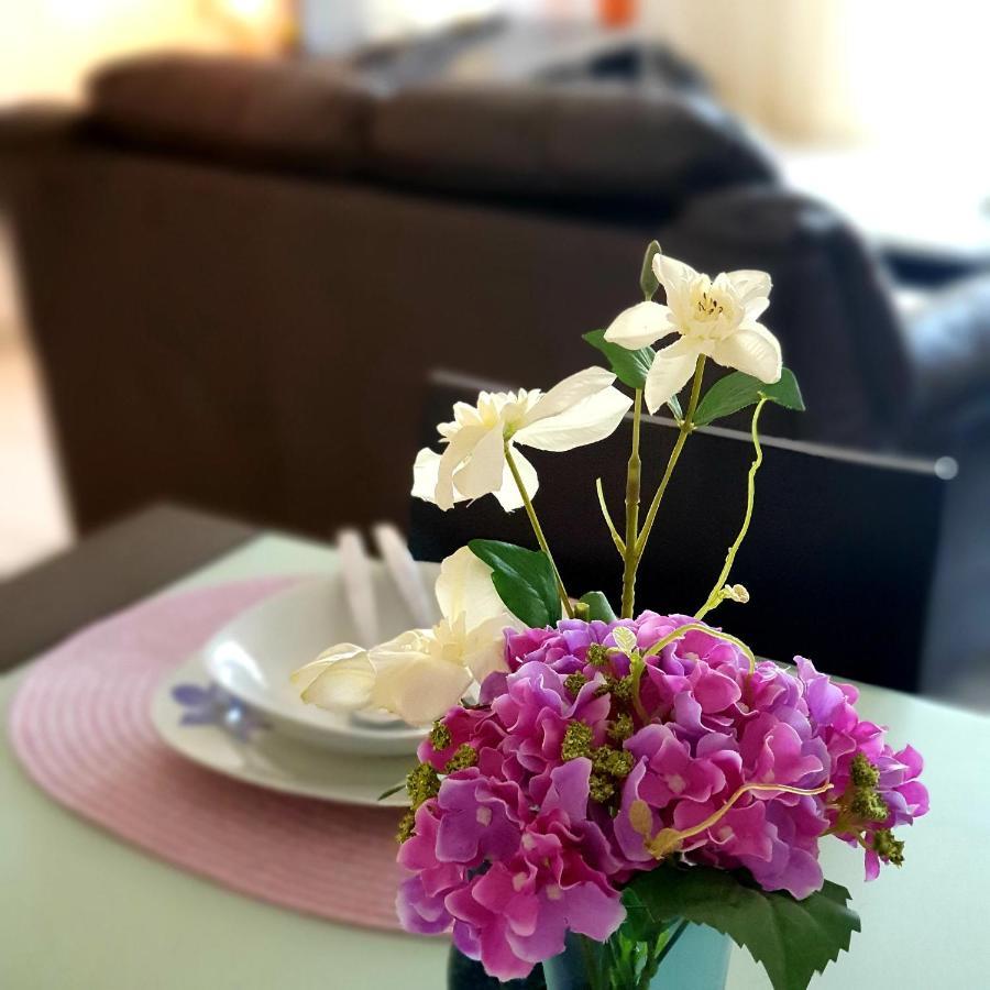 Owls Nest Townhouse Villa Paphos Ngoại thất bức ảnh