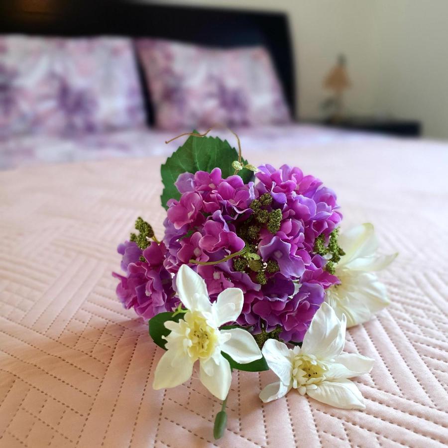 Owls Nest Townhouse Villa Paphos Ngoại thất bức ảnh
